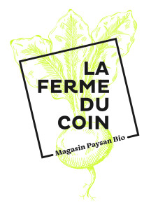LOGO_HD_MAGASIN_COULEUR