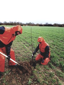 plantation prunier fev2020 1