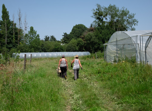 ferme