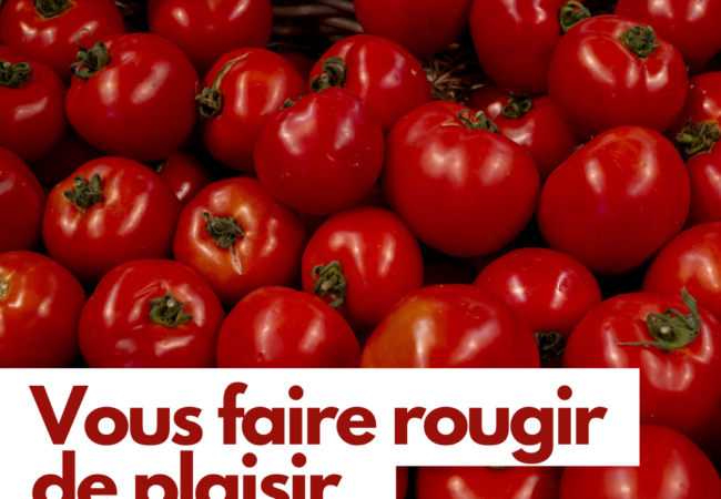 https://www.fermeducoin.fr/wp-content/uploads/2024/06/photo2-tomates-650x450.png