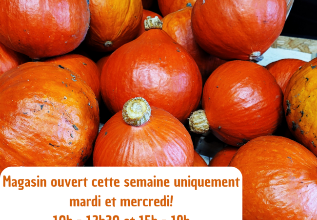 https://www.fermeducoin.fr/wp-content/uploads/2024/09/Sans-titre-21-×-29.7-cm-Montage-photo-1-650x450.png